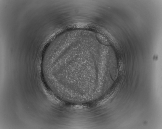 X0000094070542200711091154