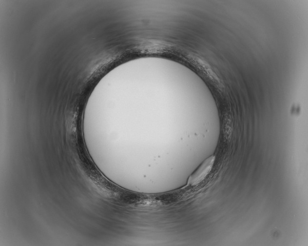 X0000094070543200711091154