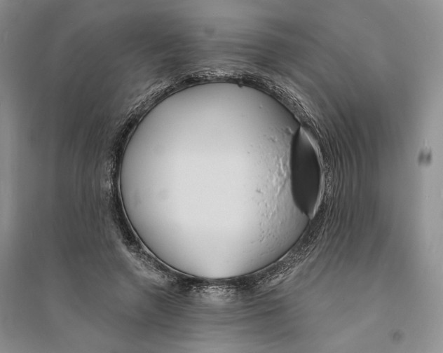 X0000094070546200711091154
