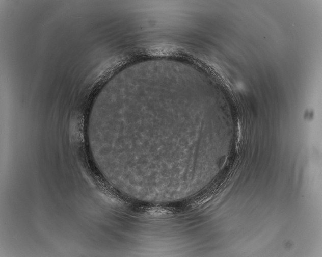 X0000094070547200711091154