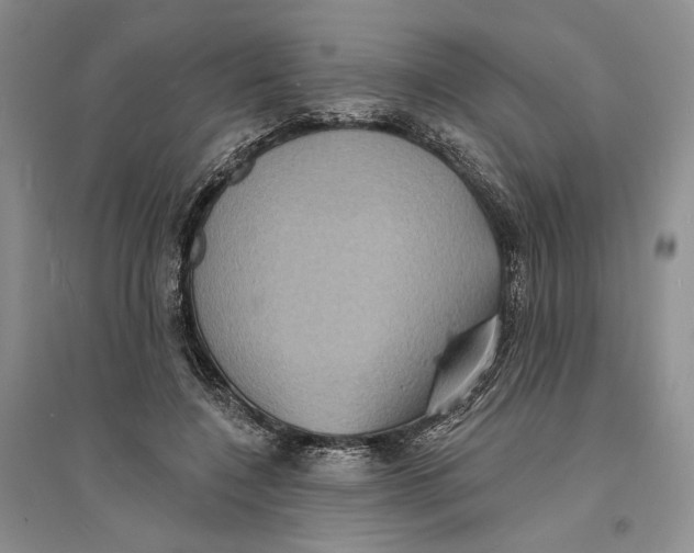 X0000094070548200711091154