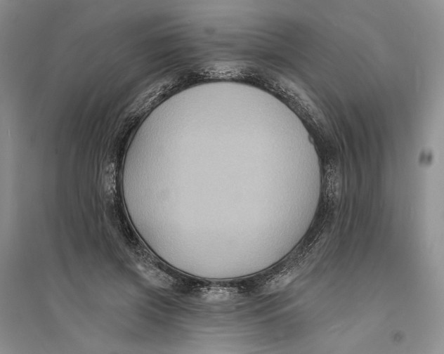 X0000094070549200711091154