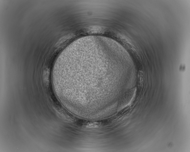 X0000094070550200711091154
