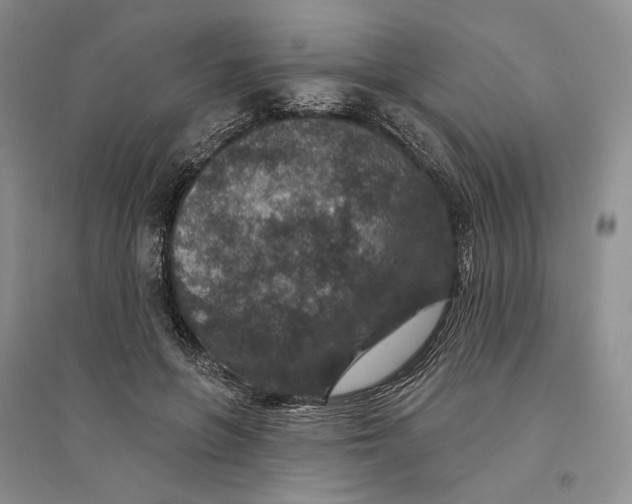 X0000094070551200711091154