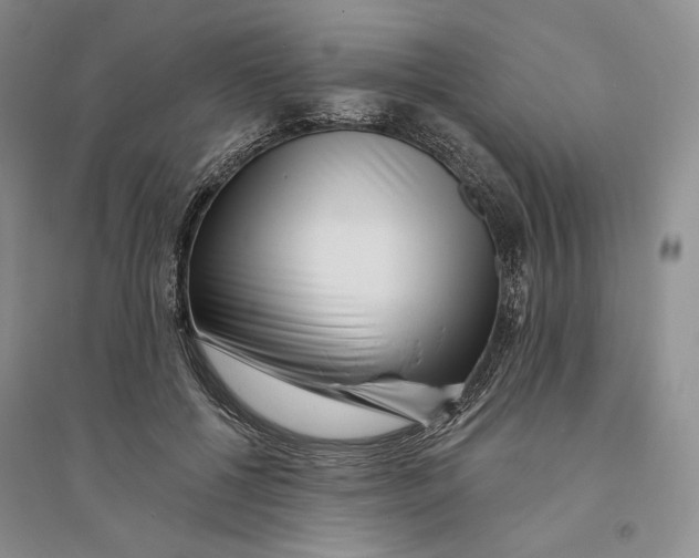 X0000094070552200711091154