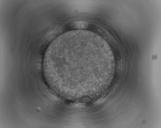 X0000094070553200711091154