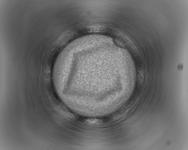 X0000094070557200711091154