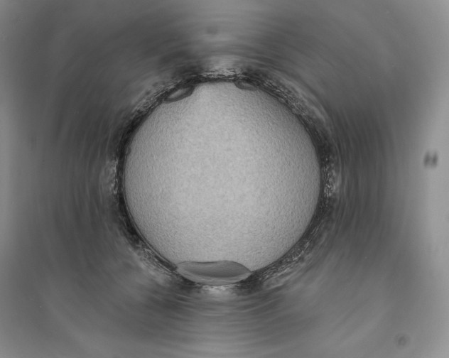 X0000094070560200711091154