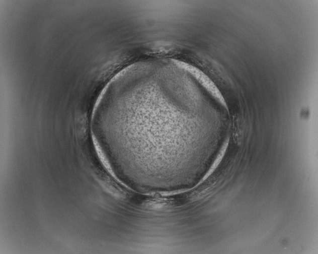 X0000094070563200711091154