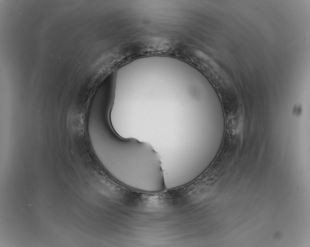 X0000094070564200711091154