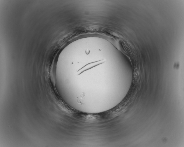 X0000094070566200711091155