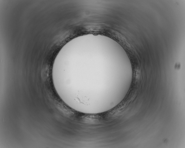 X0000094070567200711091155