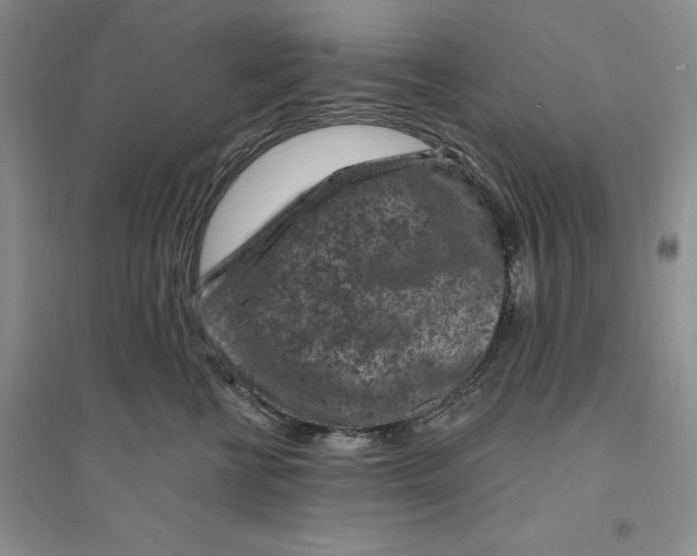 X0000094070570200711091155
