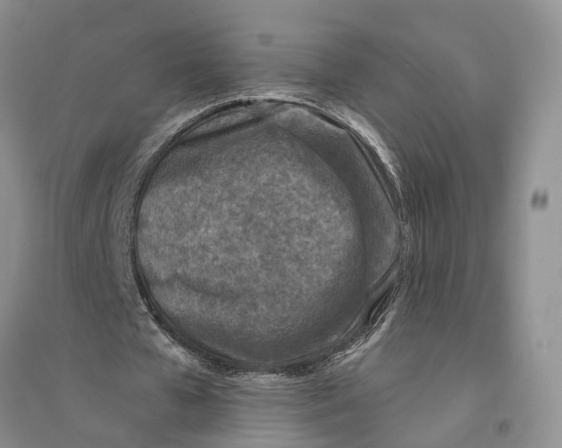 X0000094070577200711091154