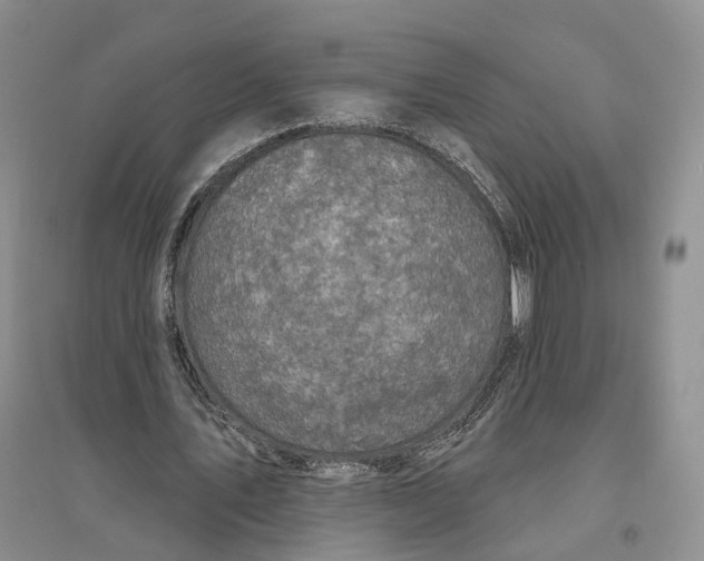 X0000094070579200711091154