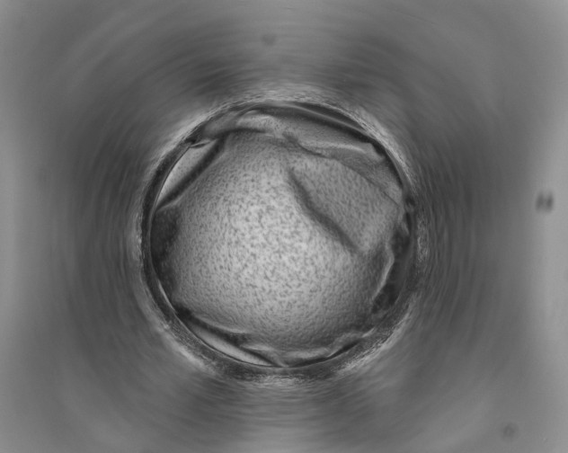 X0000094070581200711091154