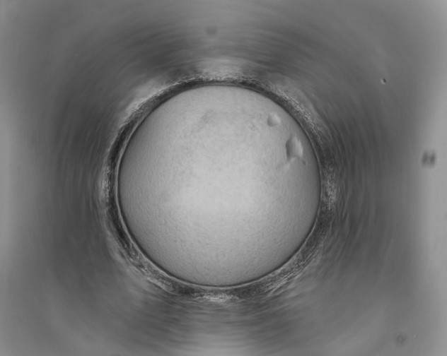 X0000094070583200711091154