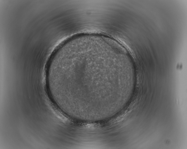 X0000094070584200711091154