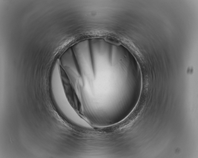 X0000094070585200711091154