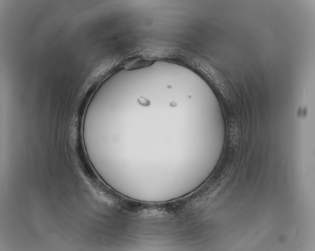 X0000094070586200711091154
