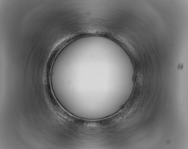 X0000094070587200711091154