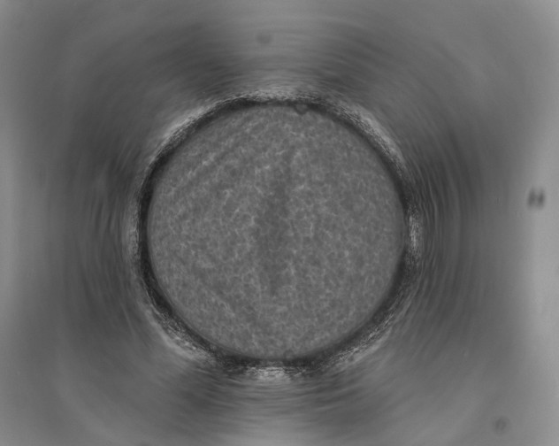 X0000094070588200711091154