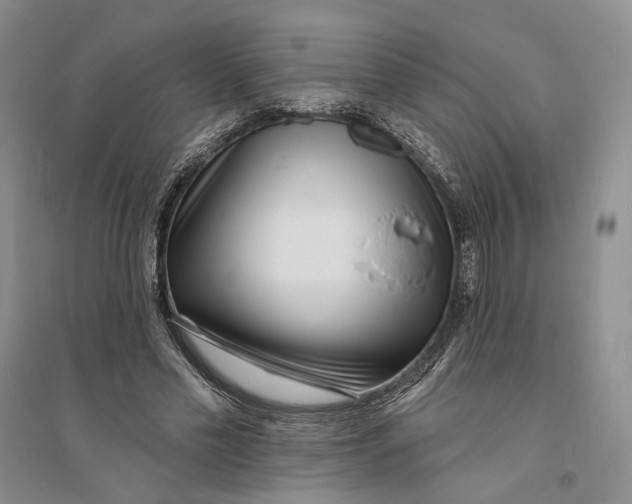 X0000094070589200711091154