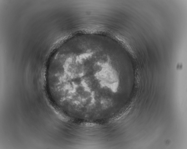 X0000094070590200711091154