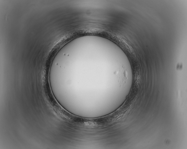 X0000094070591200711091154