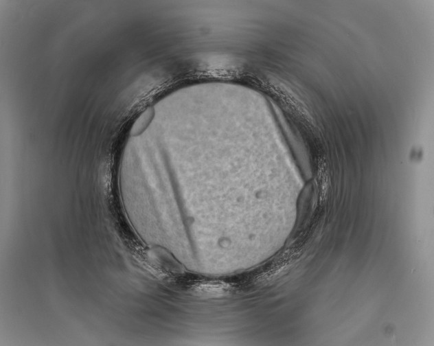 X0000094070595200711091154