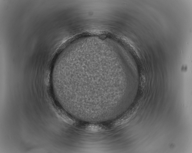 X0000094070596200711091154