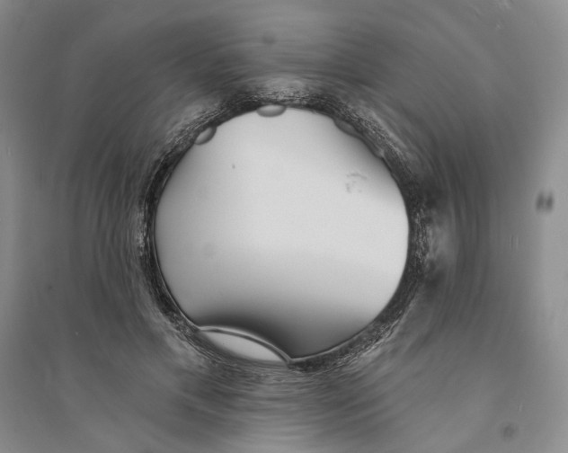 X0000094070597200711091154