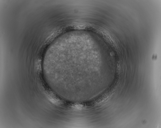 X0000094070598200711091154