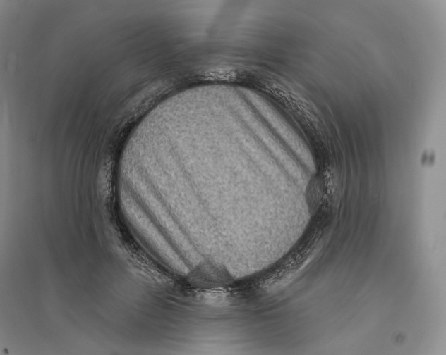 X0000094070600200711091153