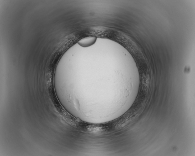 X0000094070602200711091153