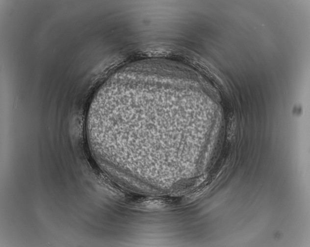 X0000094070604200711091153