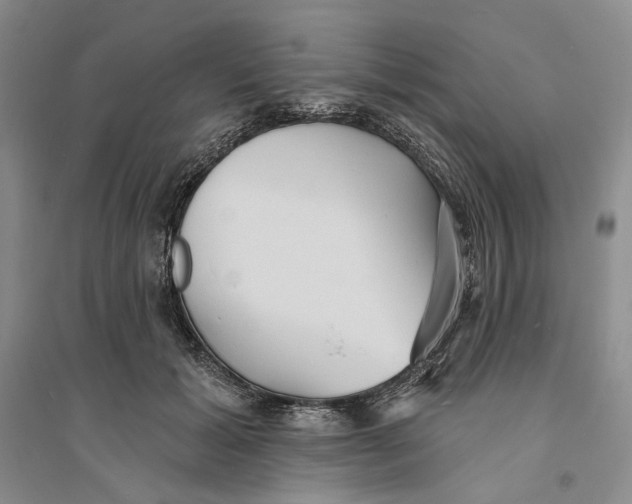 X0000094070605200711091153
