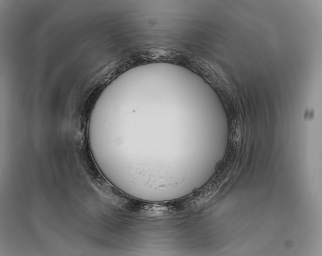 X0000094070607200711091153