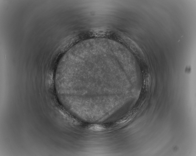 X0000094070610200711091153