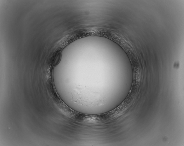 X0000094070611200711091153