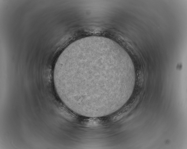 X0000094070612200711091153