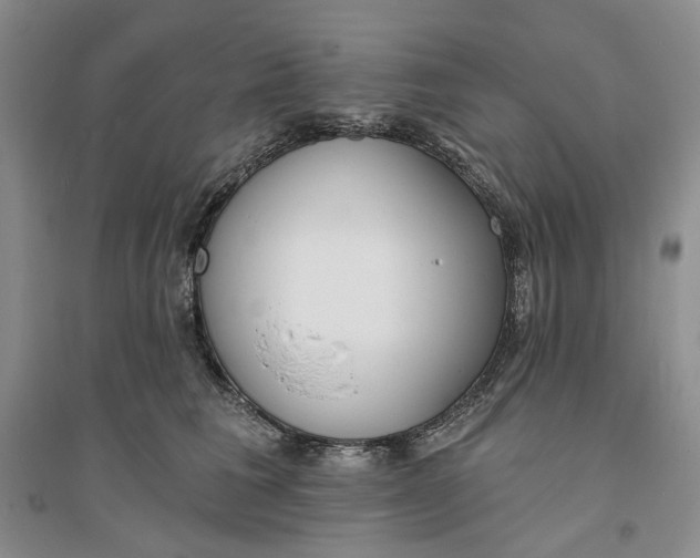 X0000094070613200711091153