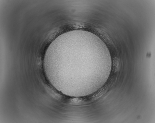 X0000094070614200711091153