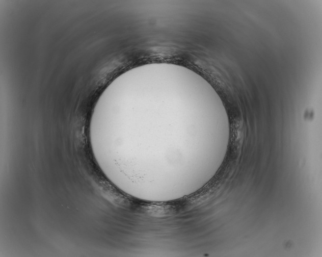 X0000094070615200711091153