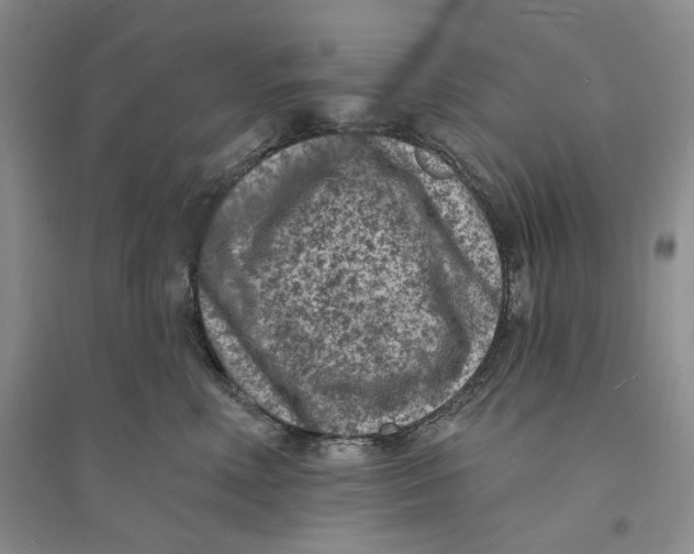 X0000094070618200711091153