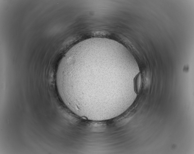 X0000094070619200711091153