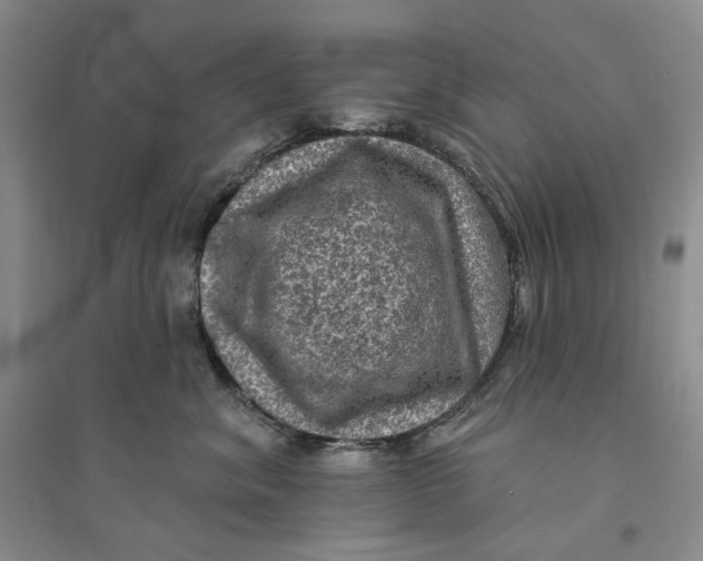 X0000094070620200711091153