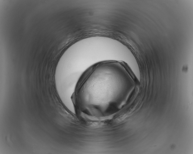X0000094070621200711091153