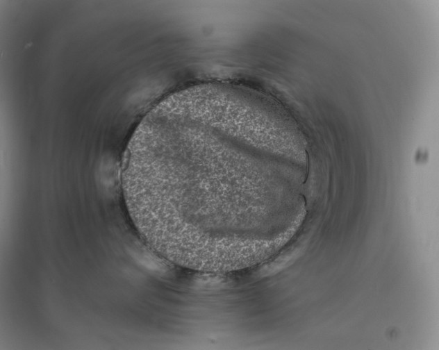 X0000094070624200711091153