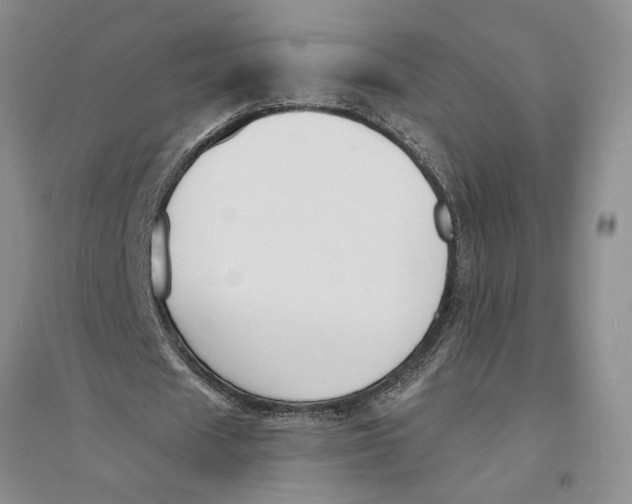 X0000094070625200711091152